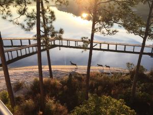 Wolf-Bay-Landing-001